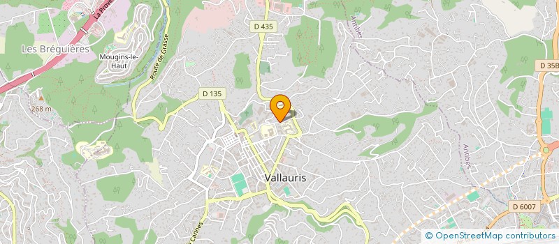 localisation de l'entreprise M.A.C LE YETI à VALLAURIS