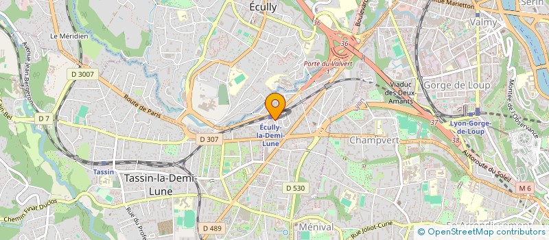 localisation de l'entreprise M[ART]MELADE  TASSIN-LA-DEMI-LUNE