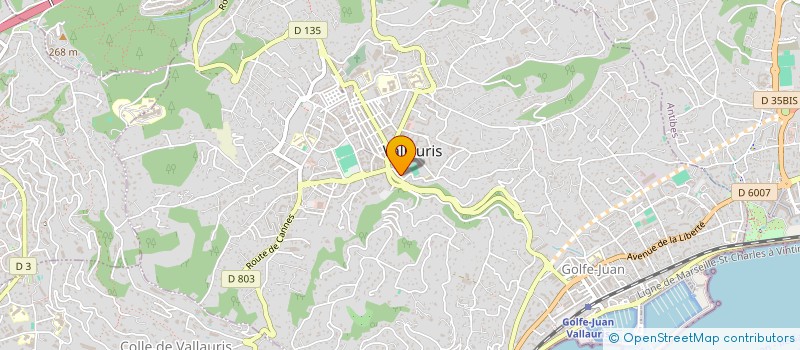 localisation de l'entreprise M.COYER  VALLAURIS