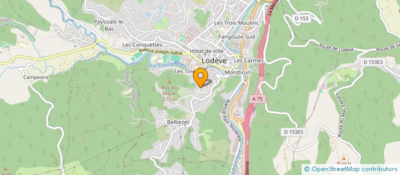 localisation de l'entreprise M FORET  LODEVE