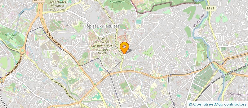 localisation de l'entreprise M&L BATIMENT à MONTPELLIER
