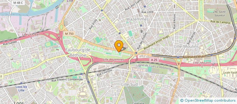 localisation de l'entreprise M OU MME AVETYAN à LILLE