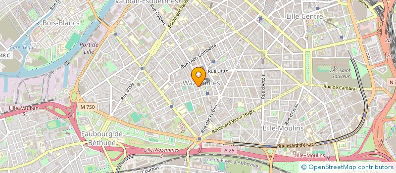 localisation de l'entreprise M.S.I. à LILLE