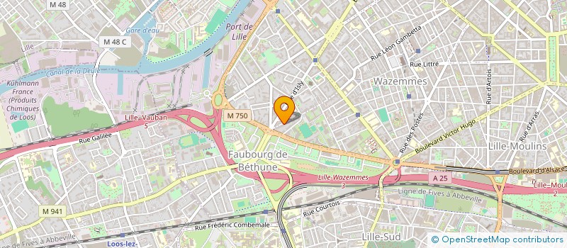 localisation de l'entreprise M SANTE CONSEILS  LILLE