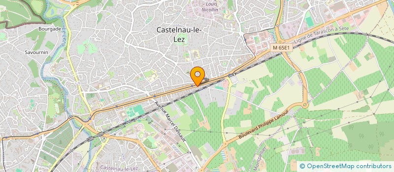 localisation de l'entreprise M2 I à CASTELNAU-LE-LEZ