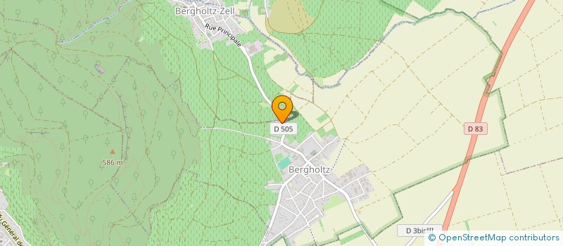 localisation de l'entreprise M31  BERGHOLTZ