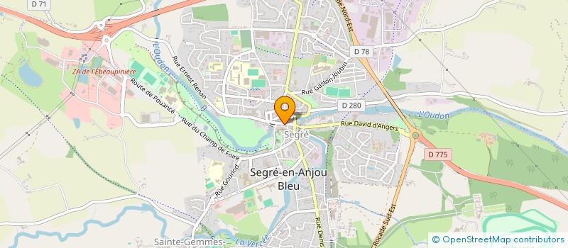 localisation de l'entreprise MA DECOFLORALE  SEGRE-EN-ANJOU BLEU