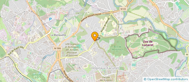 localisation de l'entreprise MA VIE MOUVEMENT AUTONOMIE VIEILLIS à MONTPELLIER