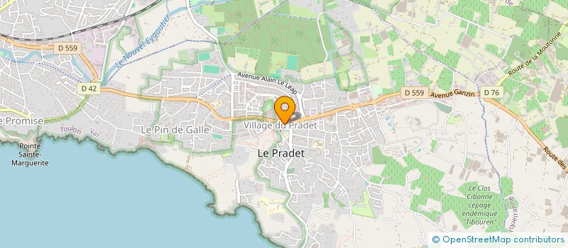 localisation de l'entreprise MACCIO FRUITS ET LEGUMES à LE PRADET