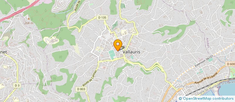 localisation de l'entreprise MACECO GESTION SCI à VALLAURIS