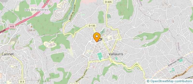 localisation de l'entreprise MACONNERIE CARRELAGE DEBROUISSAILLAGE à VALLAURIS