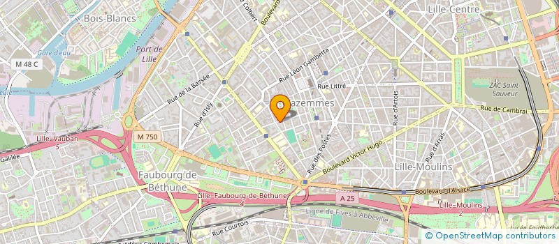 localisation de l'entreprise MAD INVEST  LILLE