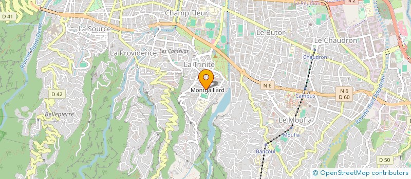 localisation de l'entreprise MADAME ABDOURAHAMANE AFIDHOITI  SAINT-DENIS