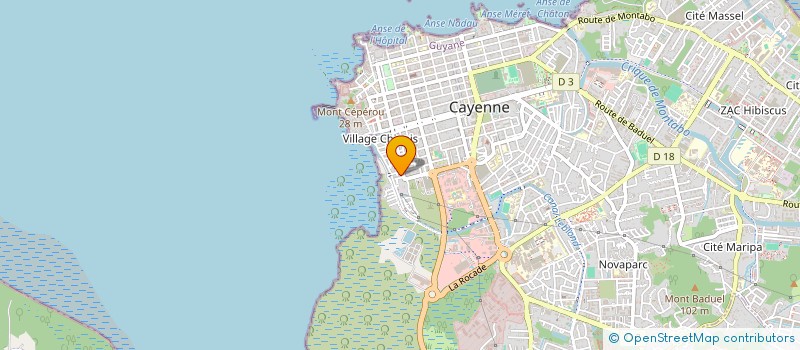 localisation de l'entreprise MADAME ABIGAELLE DOUVILLE  CAYENNE