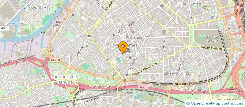 localisation de l'entreprise MADAME ABIOLA DOUGLAS à LILLE