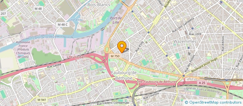 localisation de l'entreprise MADAME ADAMA DAMY CAMARA à LILLE