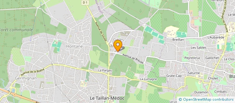 localisation de l'entreprise MADAME ADELIA TORRES  LE TAILLAN-MEDOC