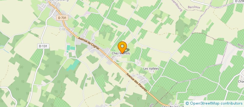 localisation de l'entreprise MADAME ADELINA LENESTOUR TROCHUT  GEMOZAC