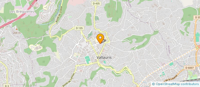 localisation de l'entreprise MADAME ADELINE CHAPUIS à VALLAURIS