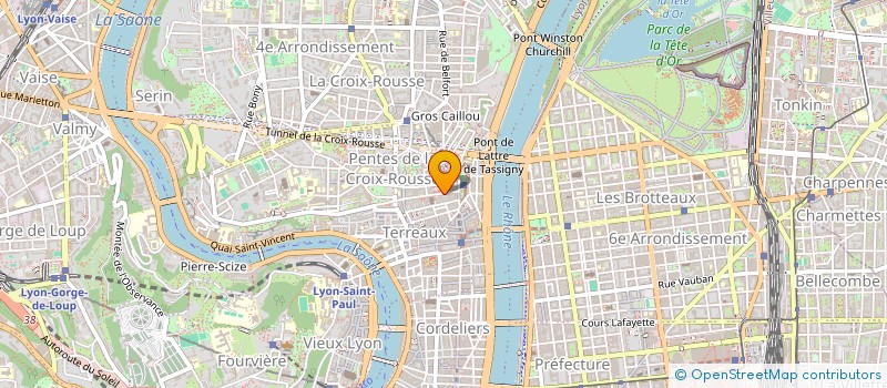 localisation de l'entreprise MADAME ADELINE DELCOUR à LYON