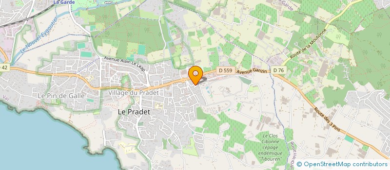 localisation de l'entreprise MADAME ADELINE DELLA TORRE  LE PRADET