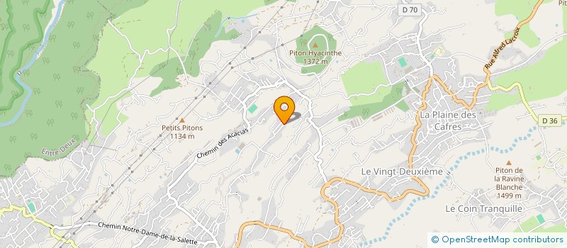 localisation de l'entreprise MADAME ADELINE DESPRAIRIES  LE TAMPON