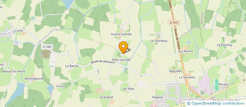 localisation de l'entreprise MADAME ADELINE FLECHON  SAINT-TRIVIER-DE-COURTES