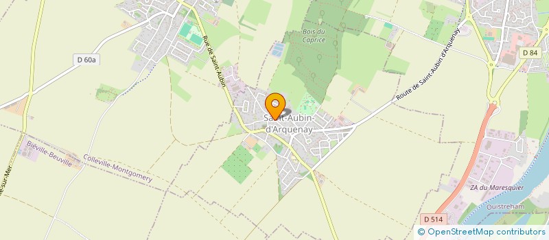 localisation de l'entreprise MADAME ADELINE MARGUERITE  SAINT-AUBIN-D'ARQUENAY