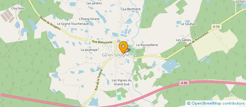 localisation de l'entreprise MADAME ADELINE PICHON à GY-EN-SOLOGNE