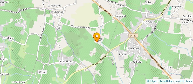 localisation de l'entreprise MADAME ADELINE THIERRY  PUGNAC