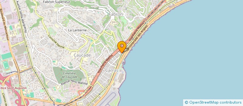 localisation de l'entreprise MADAME ADINA CIURSAS à NICE