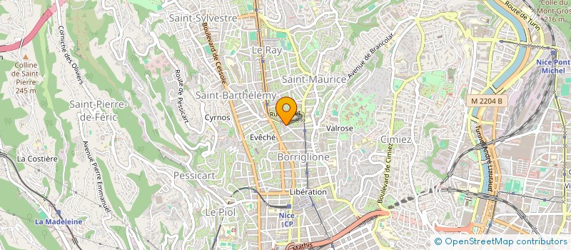 localisation de l'entreprise MADAME ADNANA IRIMIA à NICE