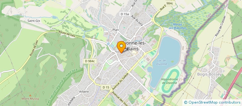 localisation de l'entreprise MADAME ADRIANA DE MATOS VIEIRA  DIVONNE-LES-BAINS