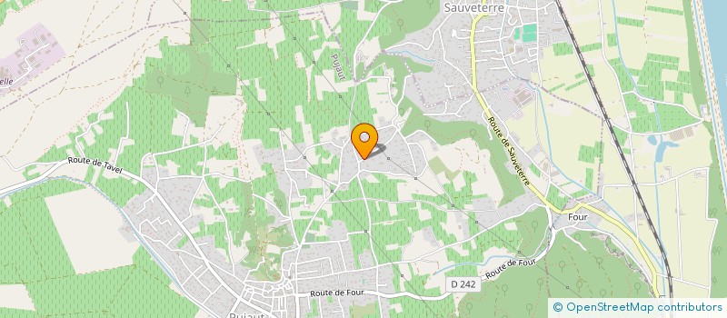 localisation de l'entreprise MADAME ADRIANA MARIANA DUCA  PUJAUT