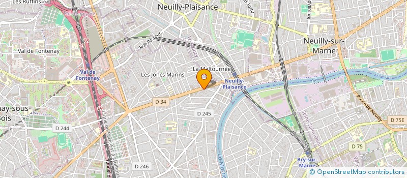 localisation de l'entreprise MADAME ADRIANA NECHITA  LE PERREUX-SUR-MARNE