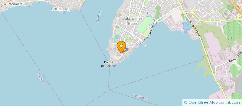 localisation de l'entreprise MADAME ADRIENNE BLACHON  BALARUC-LES-BAINS