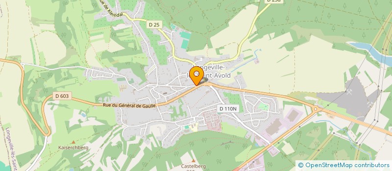 localisation de l'entreprise MADAME ADRIENNE BUGAJEWSKI à LONGEVILLE-LES-SAINT-AVOLD