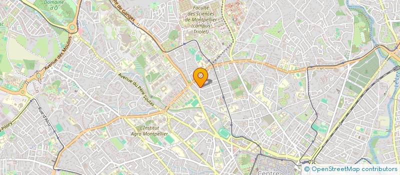 localisation de l'entreprise MADAME ADRIENNE REMY-LACOR à MONTPELLIER