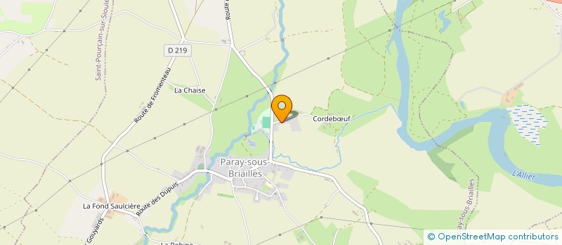 localisation de l'entreprise MADAME ADRIENNE TRONCIN-CHENET  PARAY-SOUS-BRIAILLES