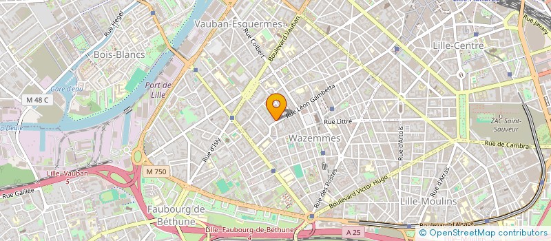 localisation de l'entreprise MADAME AGATHE DUBOIS  LILLE