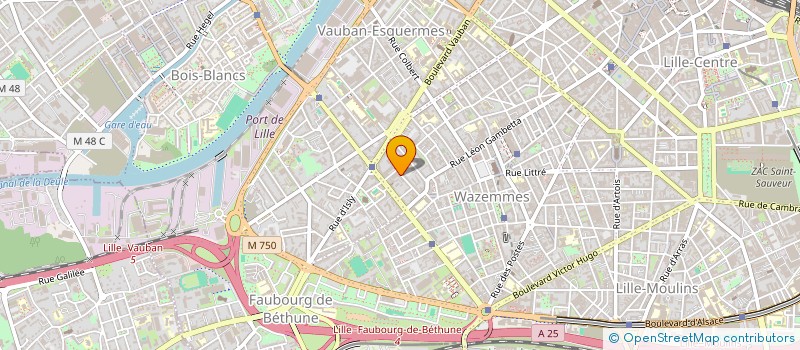 localisation de l'entreprise MADAME AGATHE GIRAULT  LILLE
