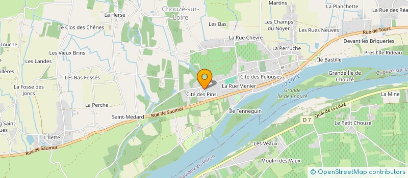 localisation de l'entreprise MADAME AGATHE POUPARD  CHOUZE-SUR-LOIRE