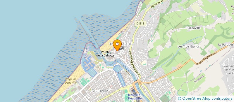 localisation de l'entreprise MADAME AGATHE SCHLEICHER  TROUVILLE-SUR-MER