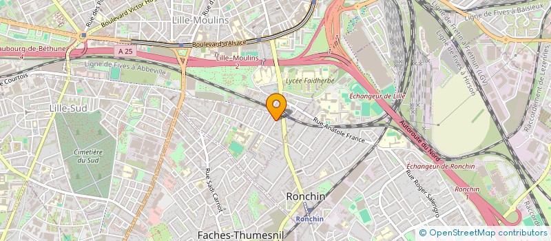 localisation de l'entreprise MADAME AGNES AMASSE à LILLE