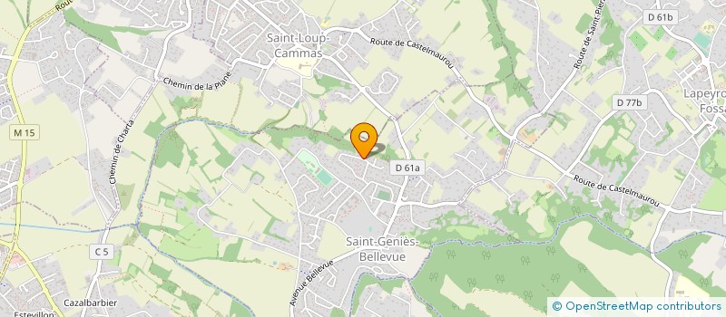 localisation de l'entreprise MADAME AGNES BERNADETTE ZANNI  SAINT-GENIES-BELLEVUE