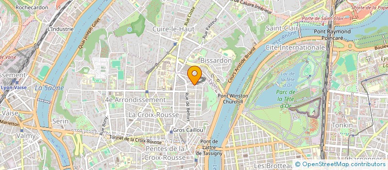 localisation de l'entreprise MADAME AGNES CELINE ROYER à LYON