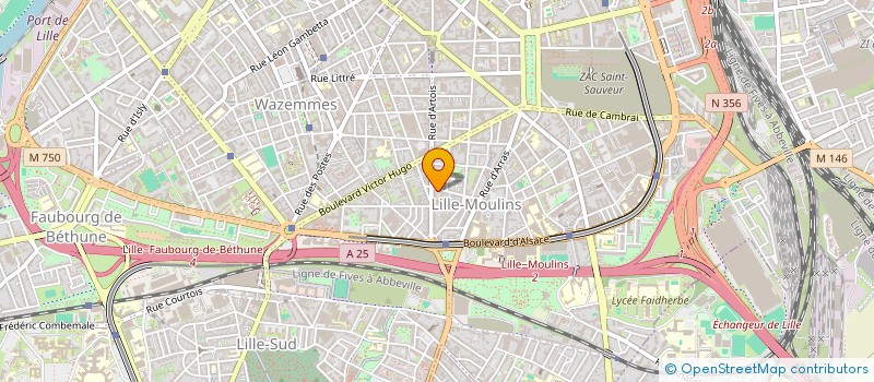 localisation de l'entreprise MADAME AGNES CHAPELAIN à LILLE