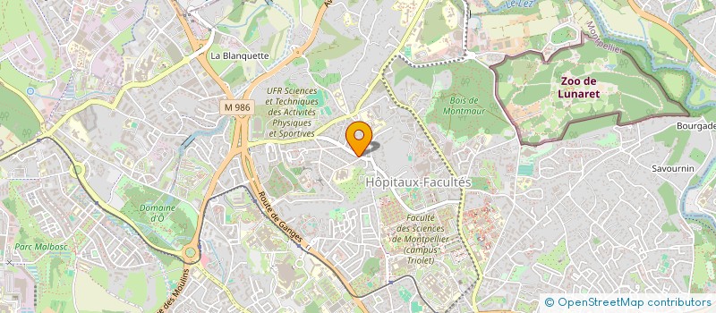localisation de l'entreprise MADAME AGNES DAVID à MONTPELLIER