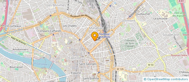 localisation de l'entreprise MADAME AGNES DEMEULENAERE à TOULOUSE