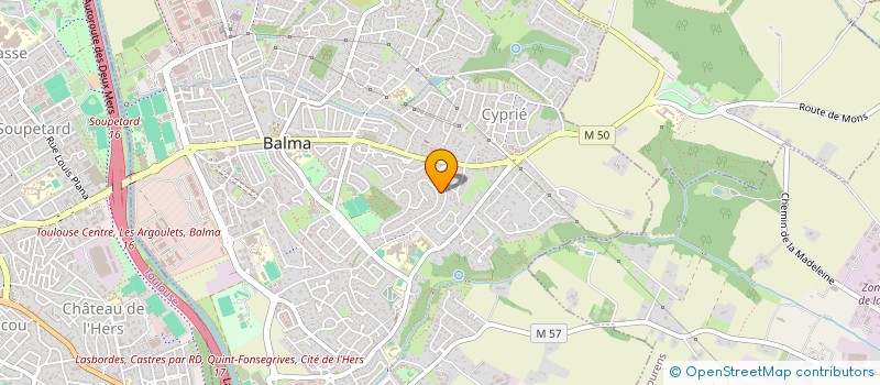 localisation de l'entreprise MADAME AGNES DU VERDIER à BALMA